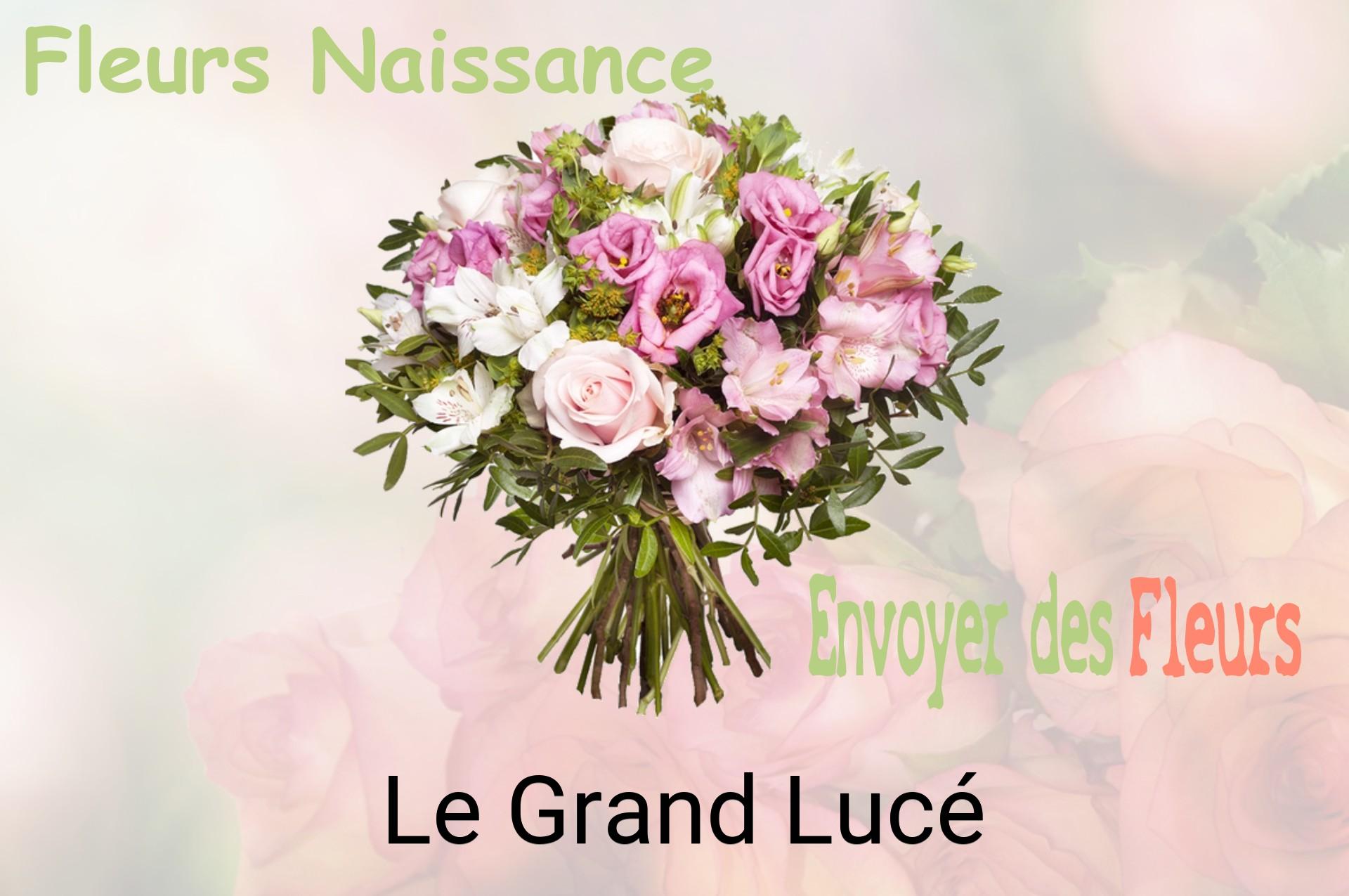 Bouquet de fleurs de naissance livré à Le Grand-Lucé
